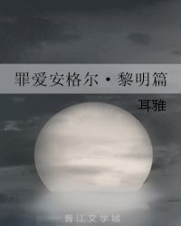 罪爱安格尔黎明篇总裁小说网封面